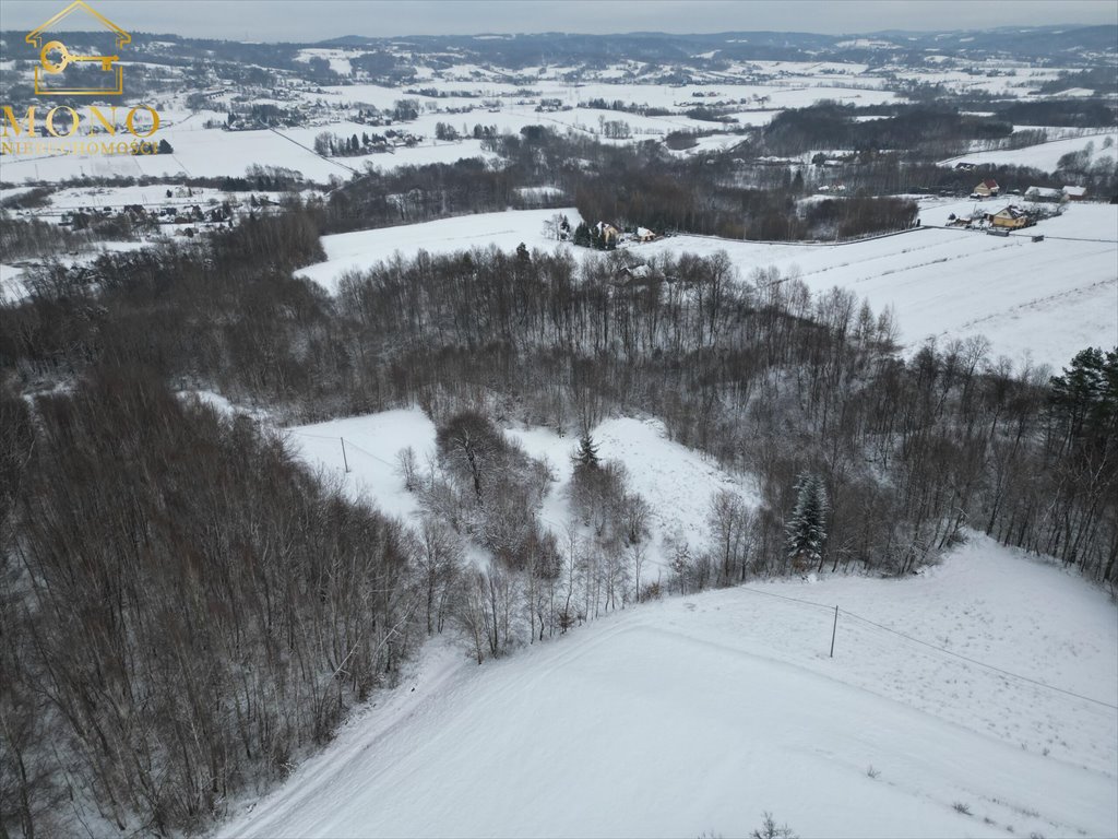 Działka inna na sprzedaż Łowczów  27 000m2 Foto 2