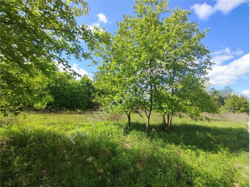Działka budowlana 1674 m2 w Chrzanowie Małym, cicha okolica Chrzanów Mały  1 674m2 Foto 1