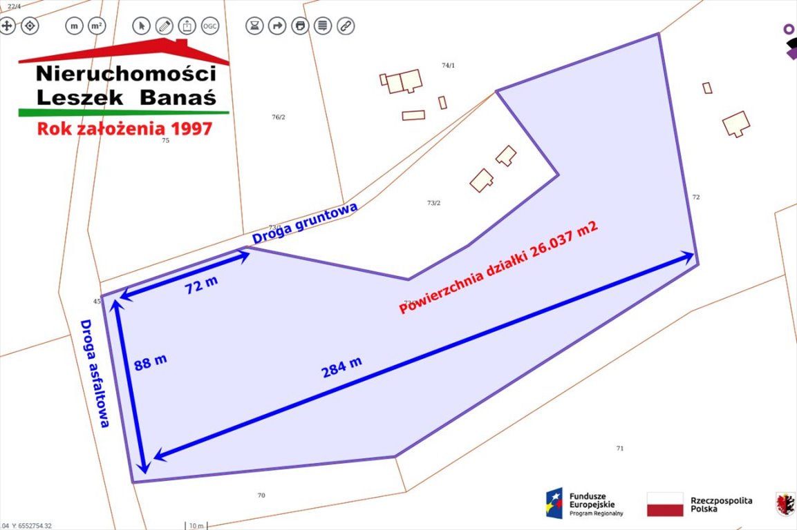 Działka rolna 26 tys. m² z drzewami, asfalt graniczy Wiewiórki  26 037m2 Foto 1
