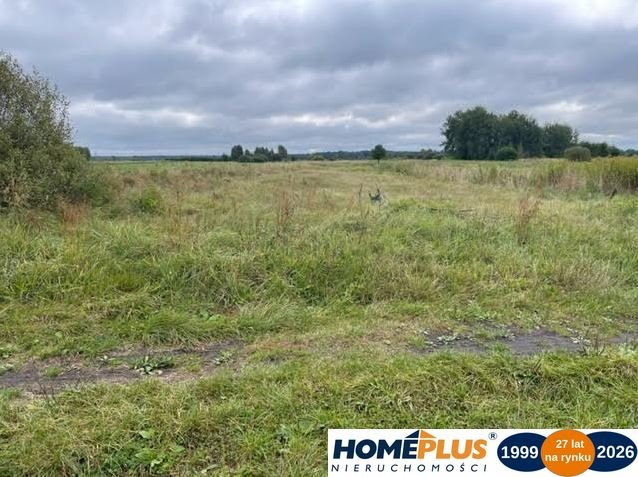 Działka rolna 6000 m² z możliwością wypasu i upraw Łąki  5 400m2 Foto 1