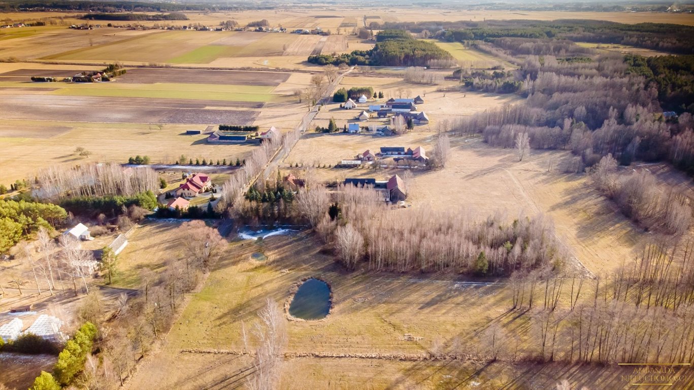 Działka inna na sprzedaż Dobrzyniewo Duże, Gniła  12 000m2 Foto 6