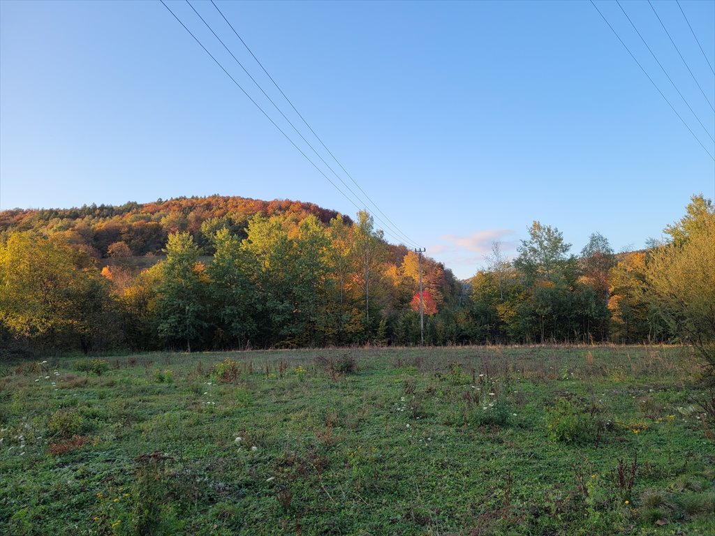 Działka przemysłowo-handlowa na sprzedaż Sękowa, Ropica Górna  2 500m2 Foto 3