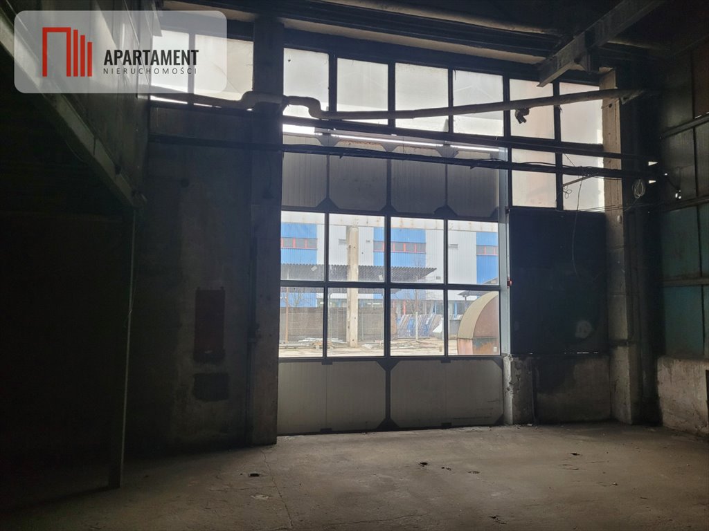 Lokal użytkowy na wynajem Grudziądz  500m2 Foto 6