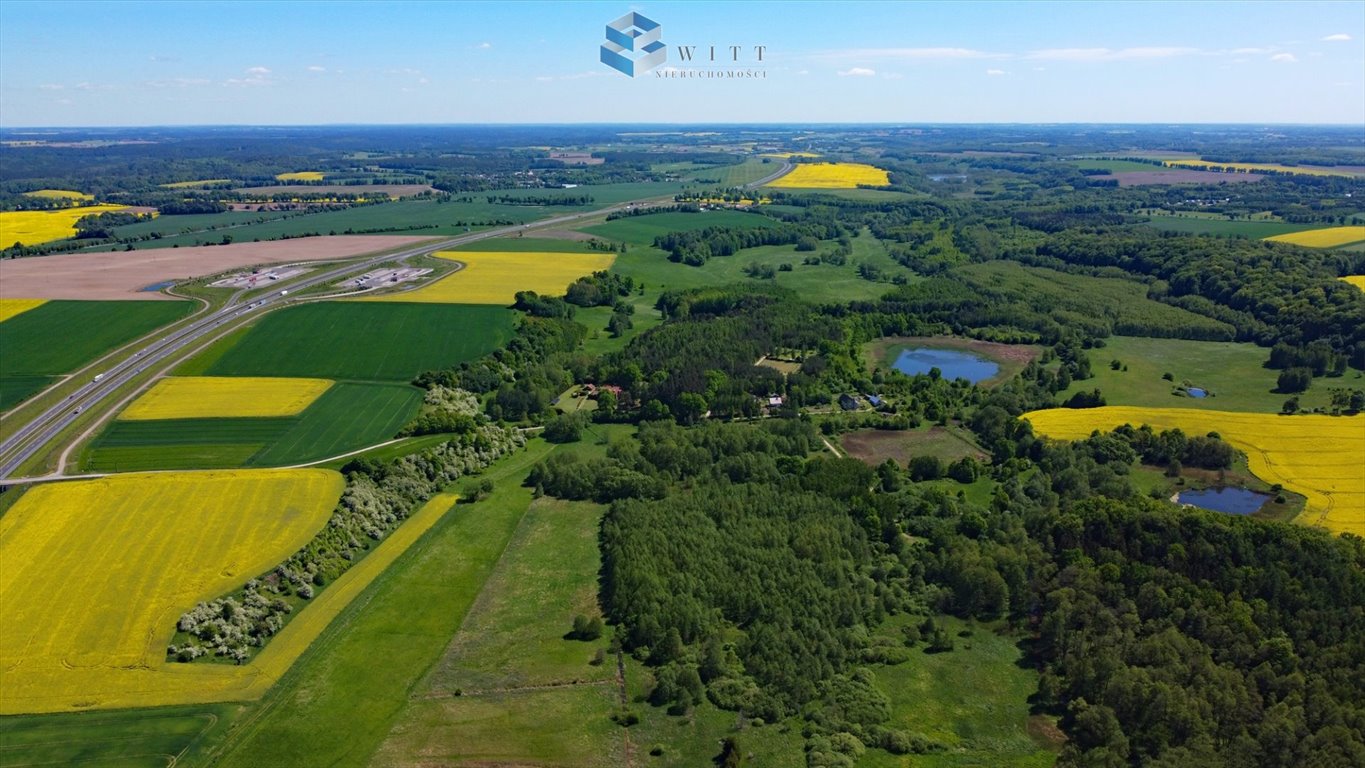 Działka budowlana na sprzedaż Grabin  9 600m2 Foto 7