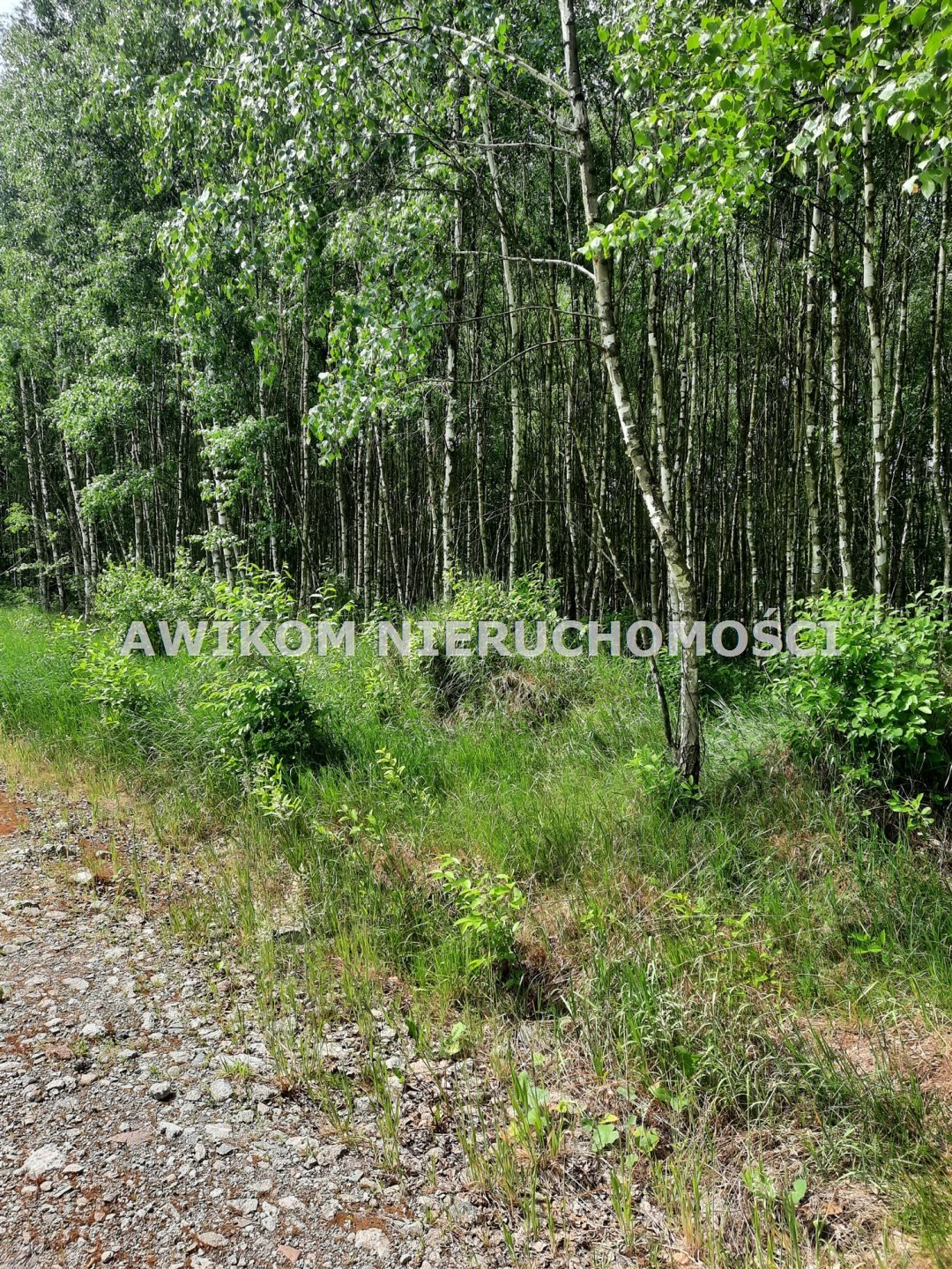 Działka leśna na sprzedaż Puszcza Mariańska, Wycześniak  11 077m2 Foto 1