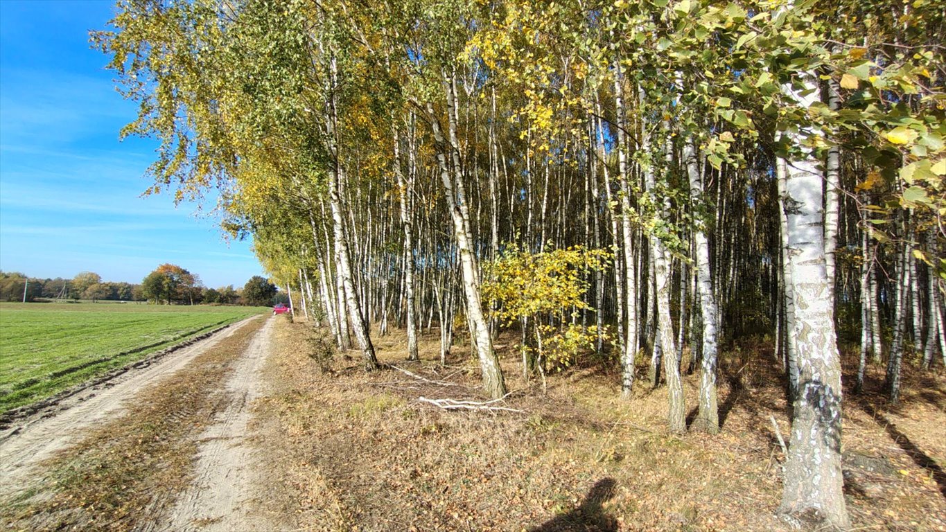 Działka budowlana na sprzedaż Brzozowica, Brzozowica  830m2 Foto 15