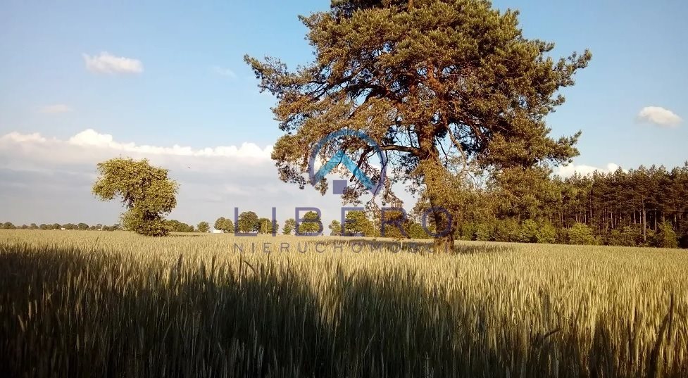 Działka budowlana na sprzedaż Huta Podgórna  2 000m2 Foto 6