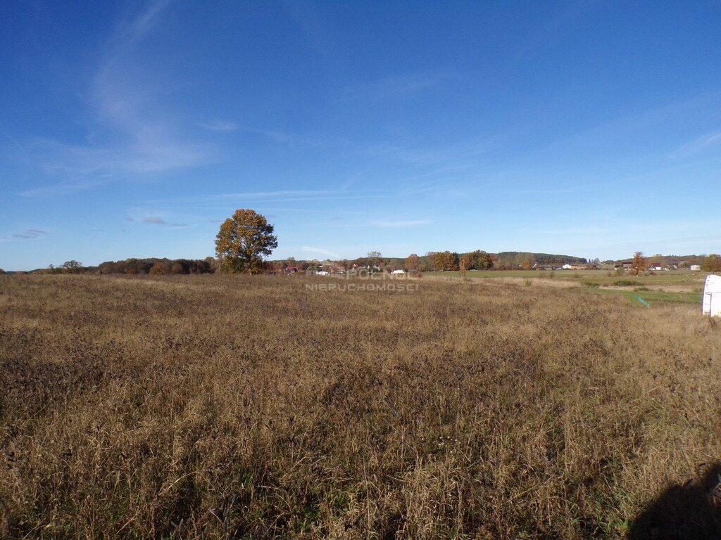 Działka budowlana na sprzedaż Wierzchocino  1 305m2 Foto 10