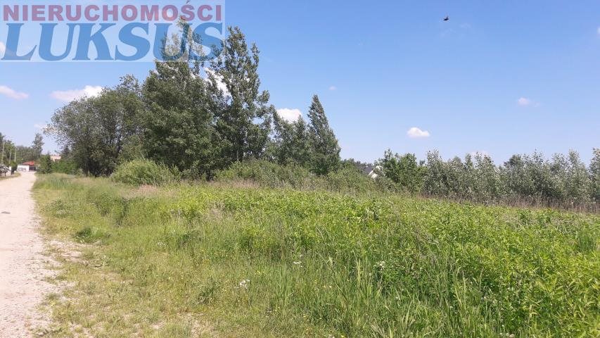Działka budowlana na sprzedaż Góra Kalwaria, Kąty 1 000m2 Foto 1 Działka budowlana na sprzedaż Góra Kalwaria, Kąty 1 000m2 Foto 1