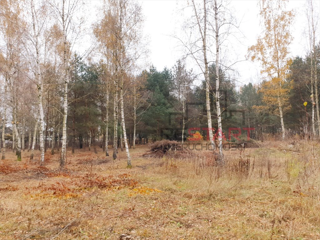 Działka budowlana na sprzedaż Osowiec  1 230m2 Foto 4