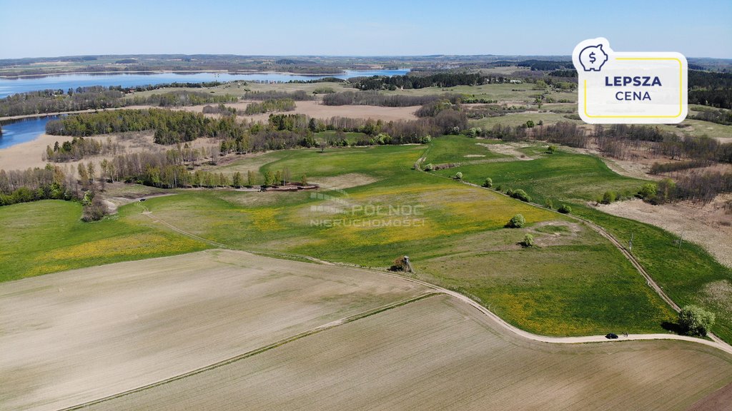 Działka siedliskowa na sprzedaż Strzelniki  97 500m2 Foto 1