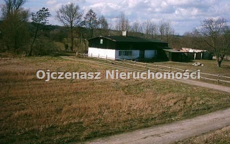 Działka rolna z lasem nad Wisłą, 8,5 tys. m². Świecie, Świecie  8 586m2 Foto 1