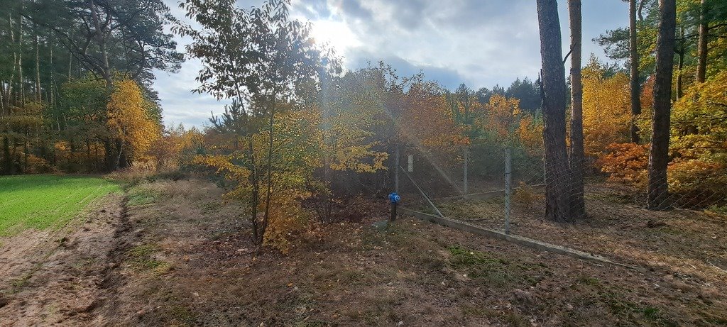 Działka leśna z prawem budowy na sprzedaż Stary Strachocin  30 060m2 Foto 3