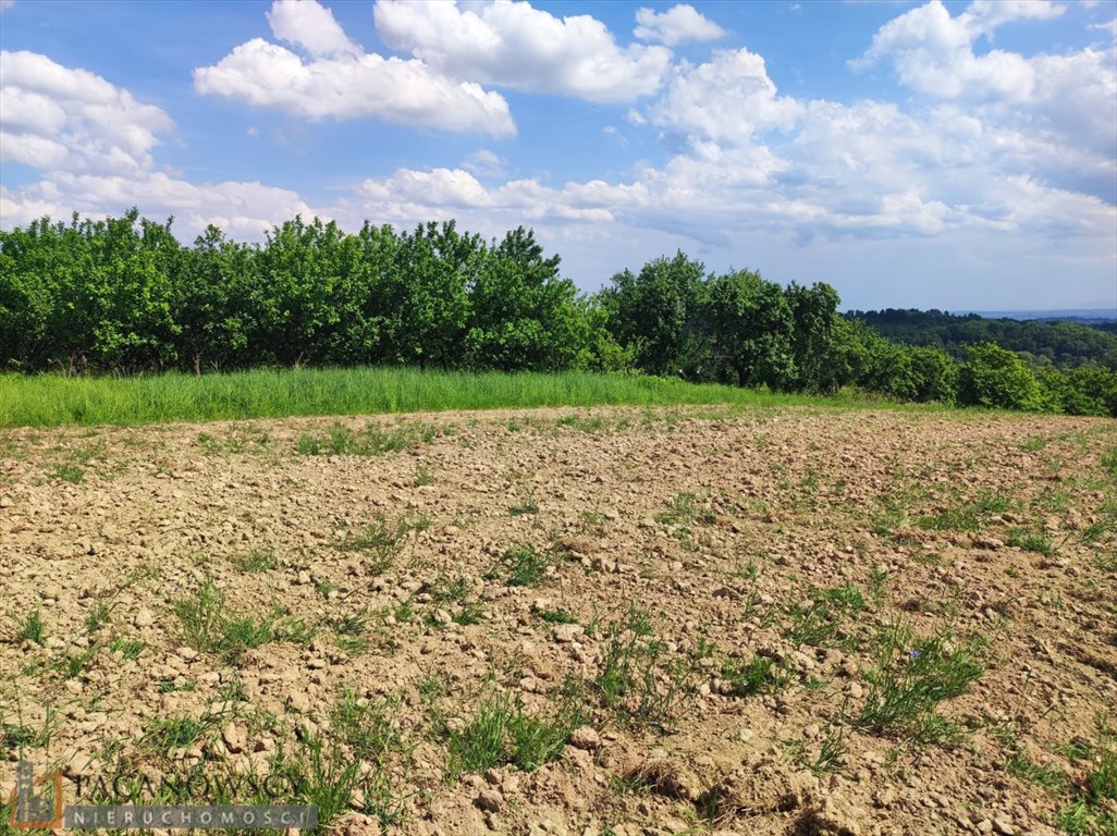 Działka rolna na sprzedaż Korzkiew  6 617m2 Foto 1