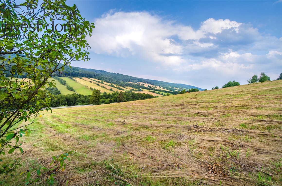 Działka budowlana na sprzedaż Małastów  24 800m2 Foto 6