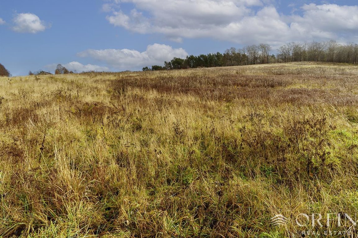 Działka budowlana na sprzedaż Dobrzewino, Łąkowa  1 436m2 Foto 2