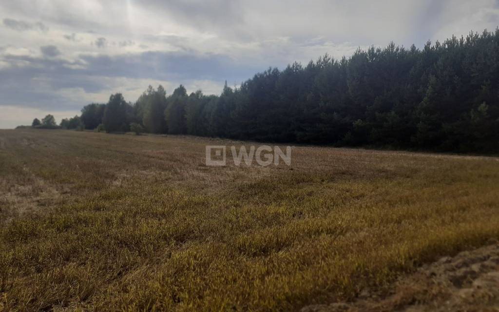 Działka siedliskowa na sprzedaż Jaworznik, Wschodnia  29 500m2 Foto 9