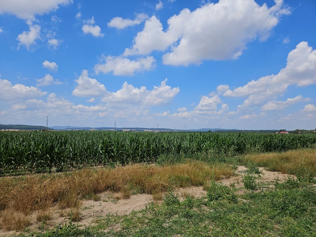 Działka budowlana na sprzedaż Jugowa  1 100m2 Foto 3