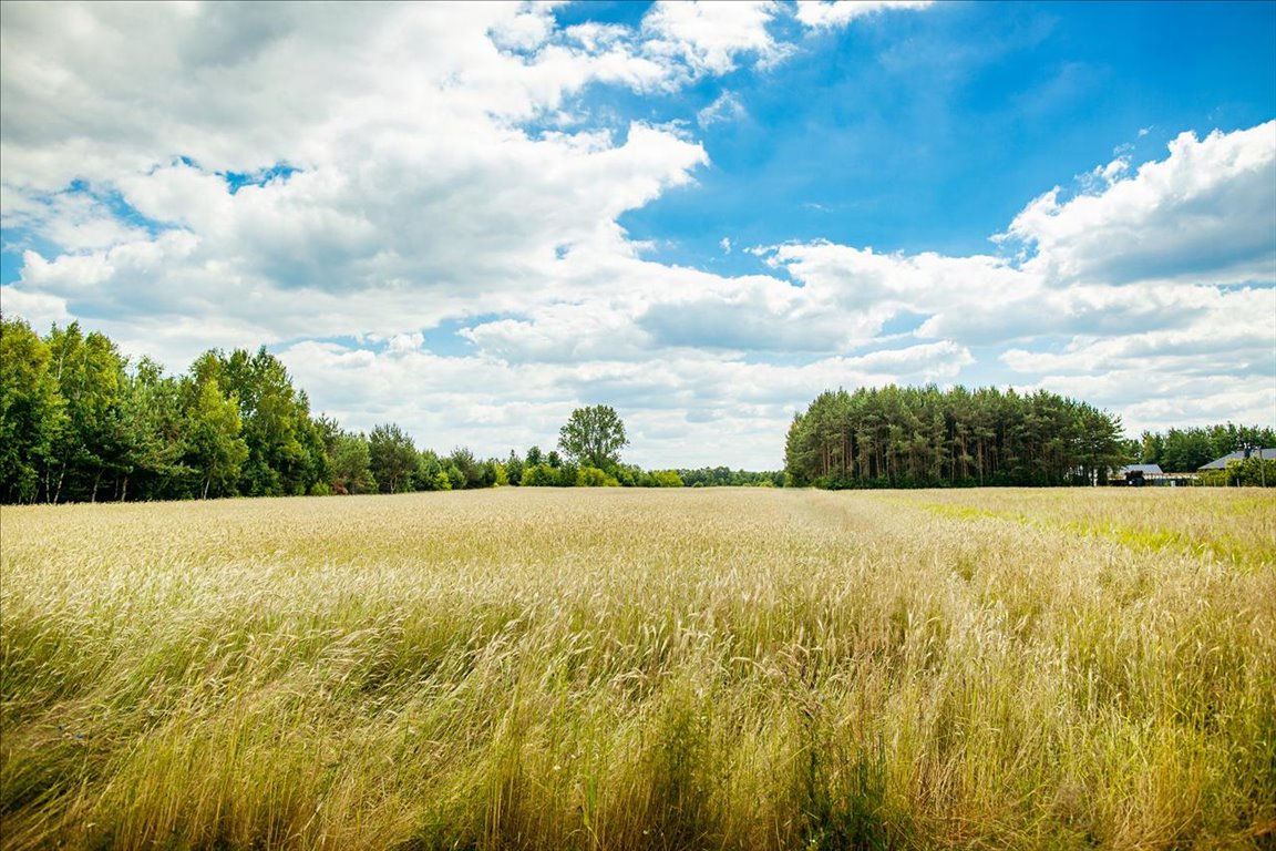 Działka budowlana na sprzedaż Nadarzyn  13 000m2 Foto 1