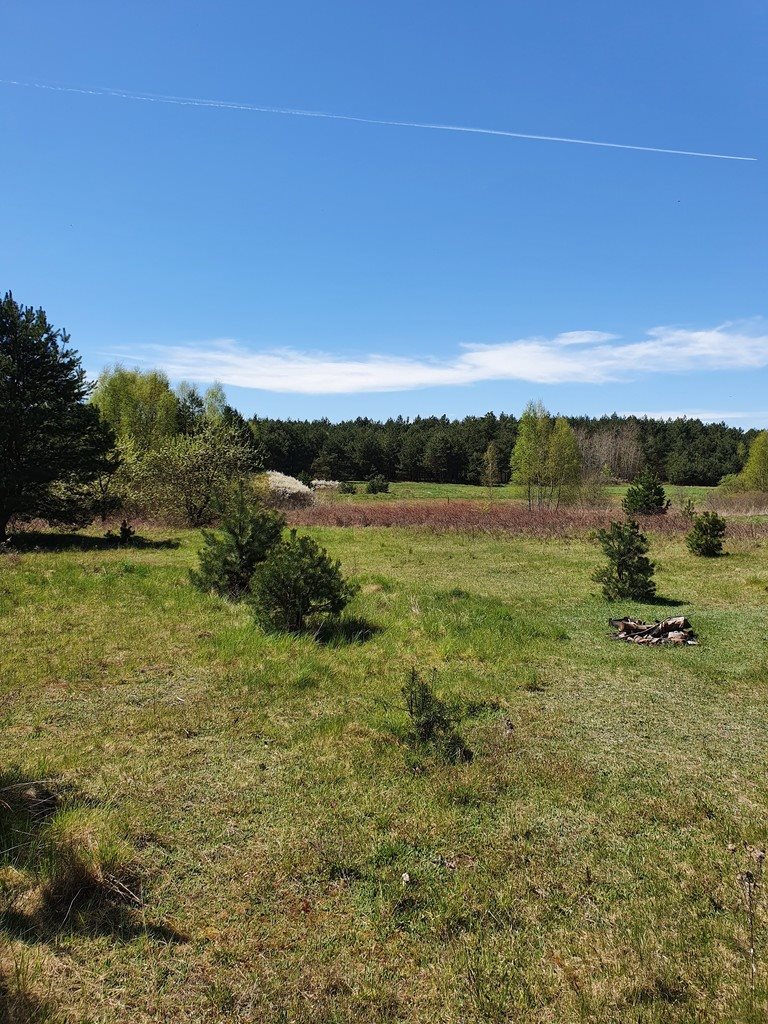 Działka budowlana na sprzedaż Rykoszyn  1 310m2 Foto 4