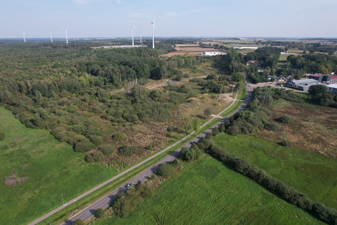 Działka rolna na sprzedaż Bruskowo Wielkie  5 000m2 Foto 2