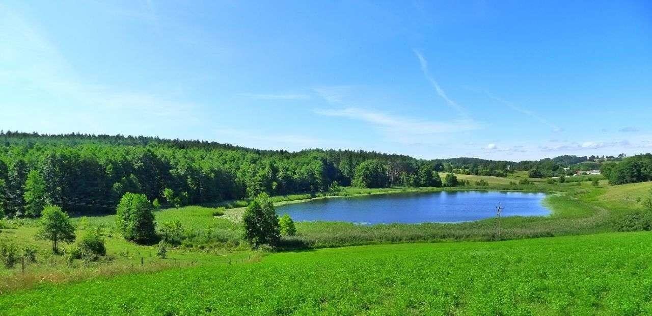 Działka rolna na sprzedaż Jeleniewo  2 800m2 Foto 5