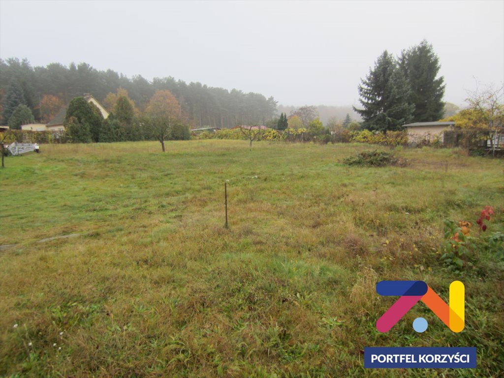 Działka rolna 9 425 m² pod siedlisko lub uprawę Świdnica  9 425m2 Foto 1