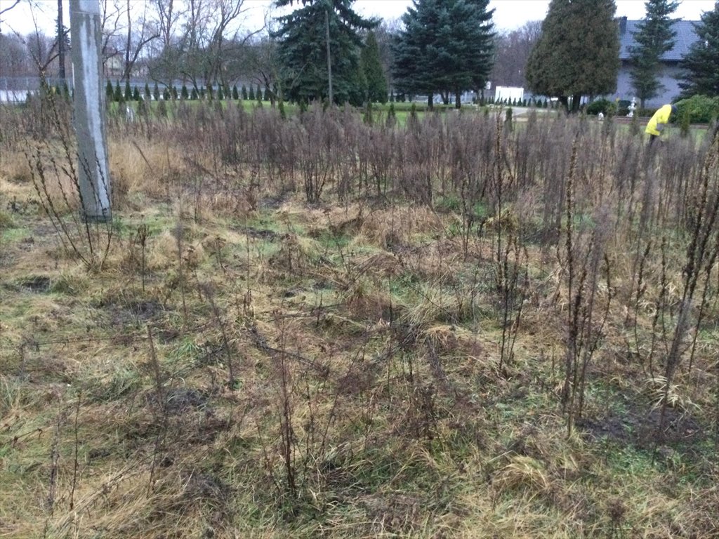 Działka budowlana na sprzedaż Wiązowna  1 900m2 Foto 2