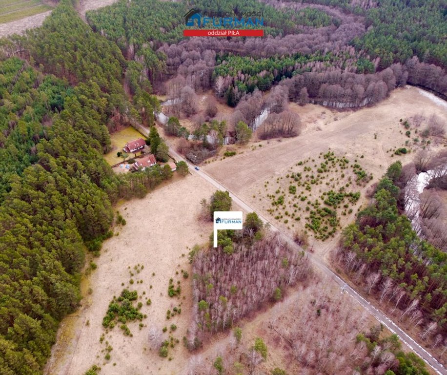 Działka budowlana na sprzedaż Czechyń  1 699m2 Foto 6