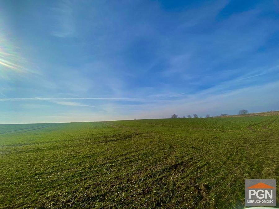 Polecam dużą działkę 5460 m² zalesioną w spokojnej okolicy Trzęsacz  5 460m2 Foto 1