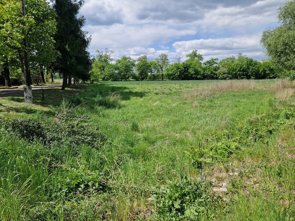 Działka budowlana na sprzedaż Mikołów, Paniowy, Mokierska  1 047m2 Foto 2