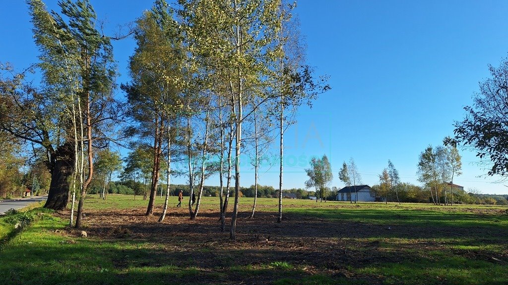 Działka inna na sprzedaż Radziejowice  1 100m2 Foto 6