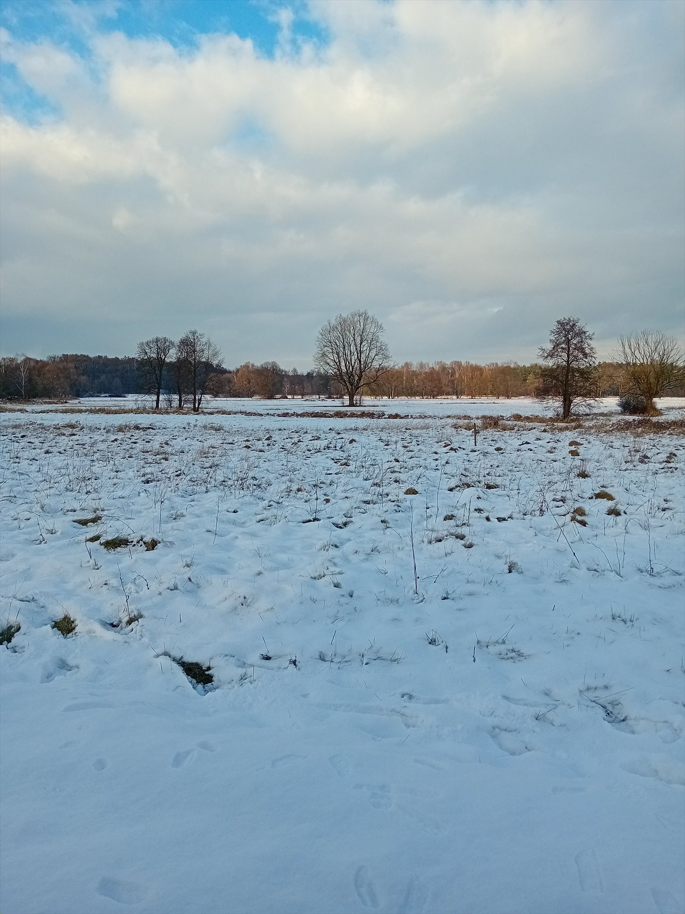 Działka budowlana na sprzedaż Tworóg Mały, Nowowiejska  2 680m2 Foto 1