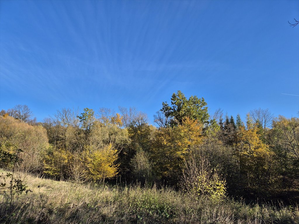 Działka rolna na sprzedaż Jasionka  7 000m2 Foto 1