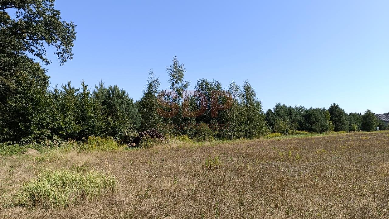 Działka budowlana na sprzedaż Kotowice, Leśna  3 000m2 Foto 6