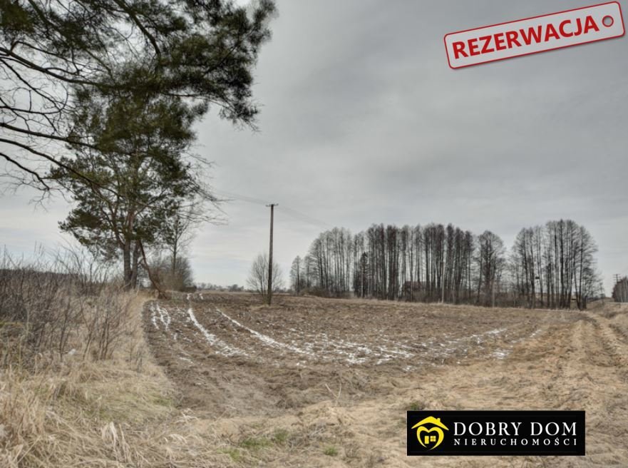 Działka rolna na sprzedaż Łozowo  11 700m2 Foto 4