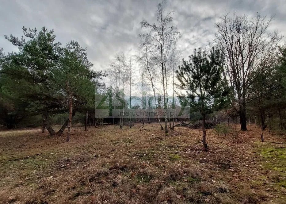 Działka 1739 m² w Czarnym Lesie – budowa domu jednorodzinnego Czarny Las  1 739m2 Foto 1