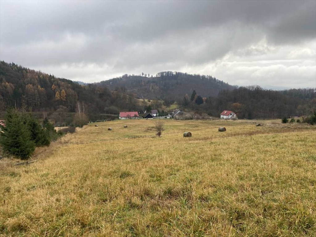 Działka inna na sprzedaż Kłodzko  44 300m2 Foto 3