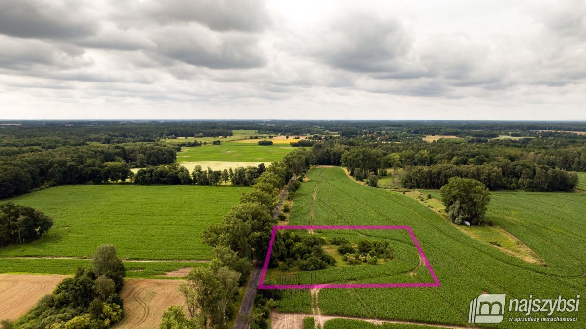 Działka siedliskowa 9 250 m² z fundamentami i dostępem do mediów Redło, Kolonia  9 215m2 Foto 1