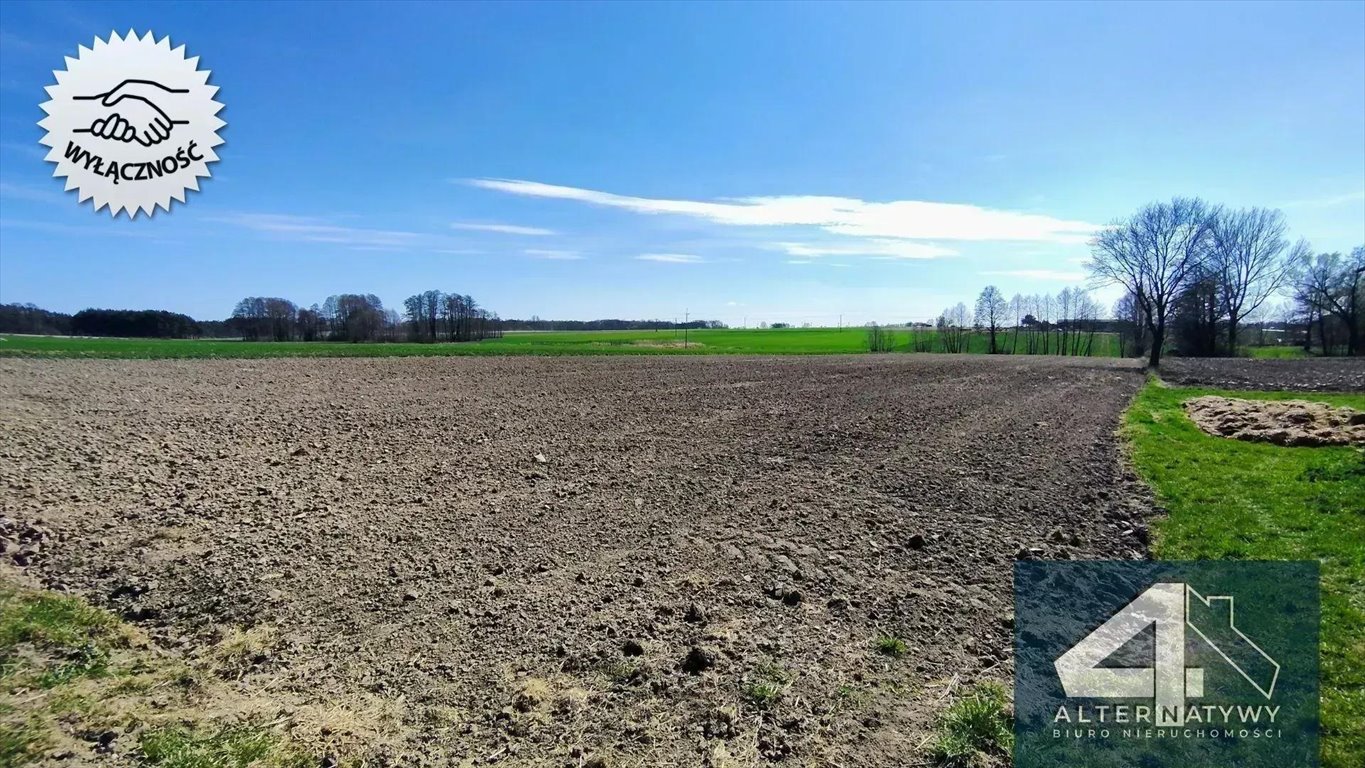 Zdjęcie 7