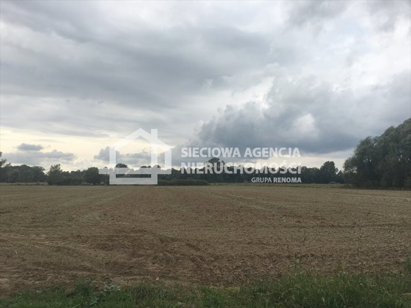 Działka rolna na sprzedaż Gdańsk, Przegalina  16 800m2 Foto 6