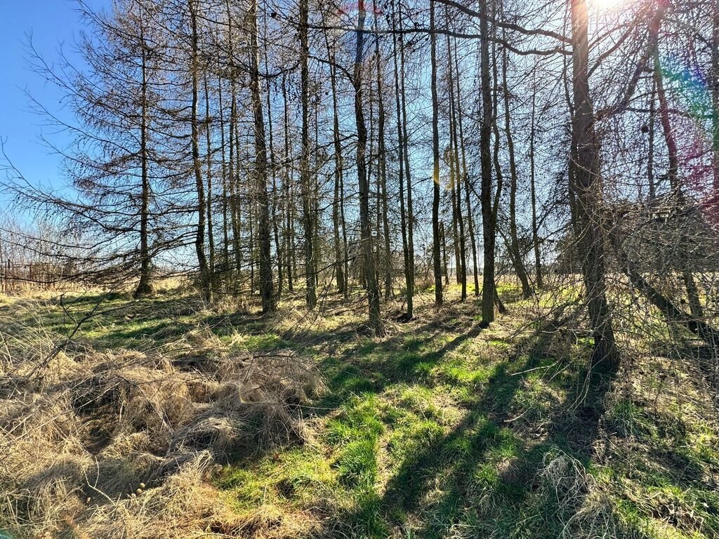 Działka 5436 m² pod zabudowę jednorodzinną, Łuków Śląski Łuków Śląski, Jana  5 436m2 Foto 1