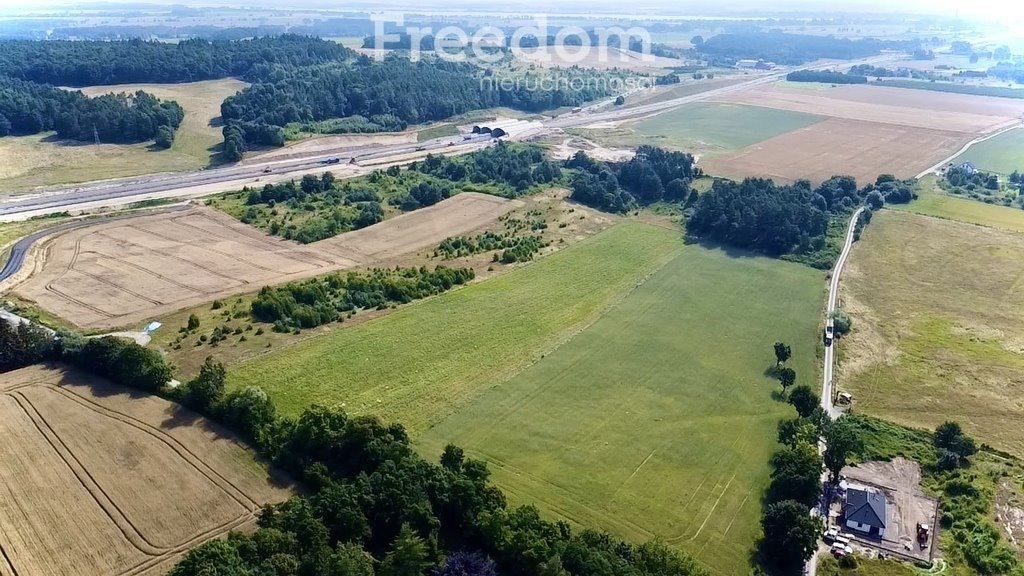 Działka budowlana na sprzedaż Dargobądz  18 900m2 Foto 6