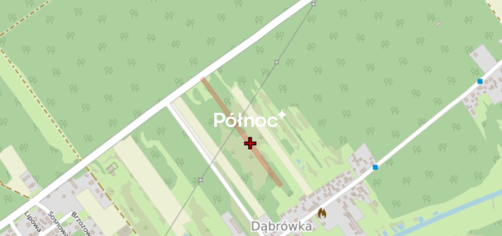 Działka 8800 m² przy lesie - blisko Radomska cena do negocjacji Dąbrówka  8 800m2 Foto 1