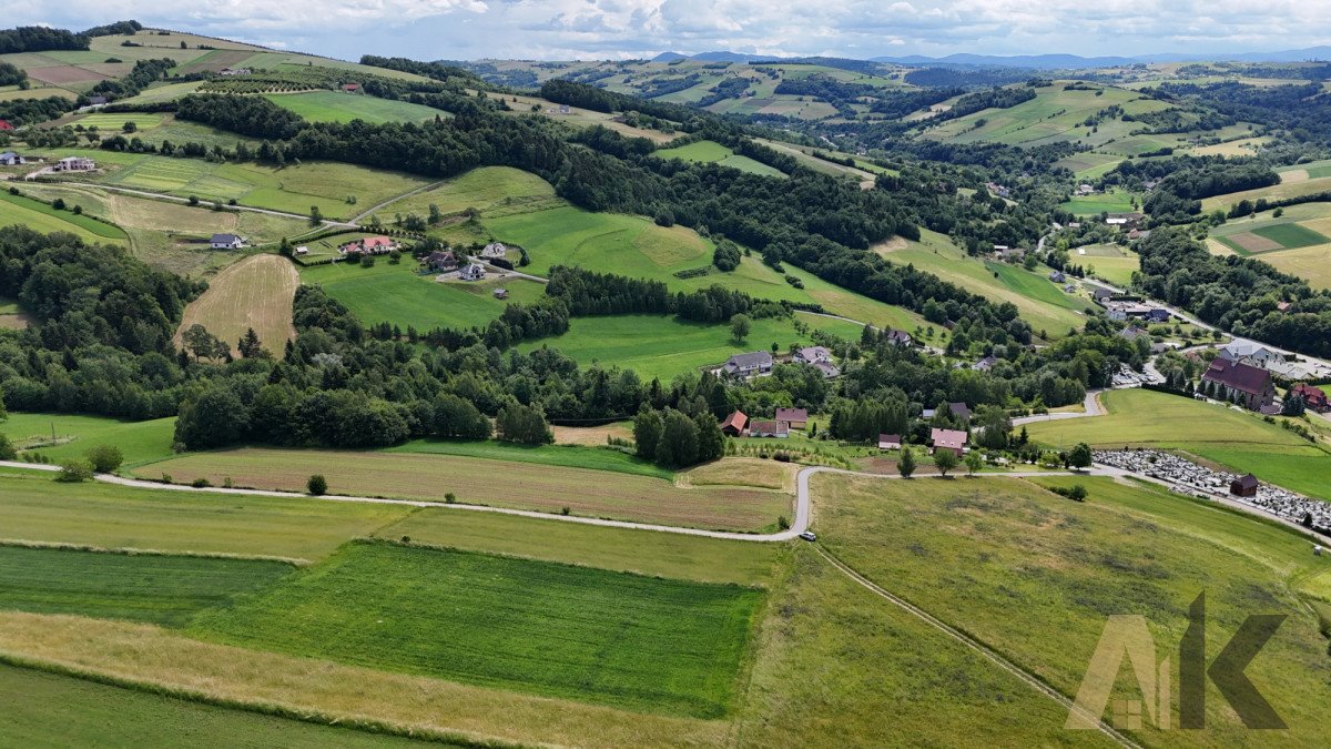 Działka budowlana na sprzedaż Sienna  3 100m2 Foto 8