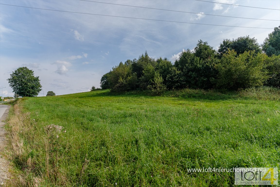 Działka budowlana na sprzedaż Myczków  8 319m2 Foto 2