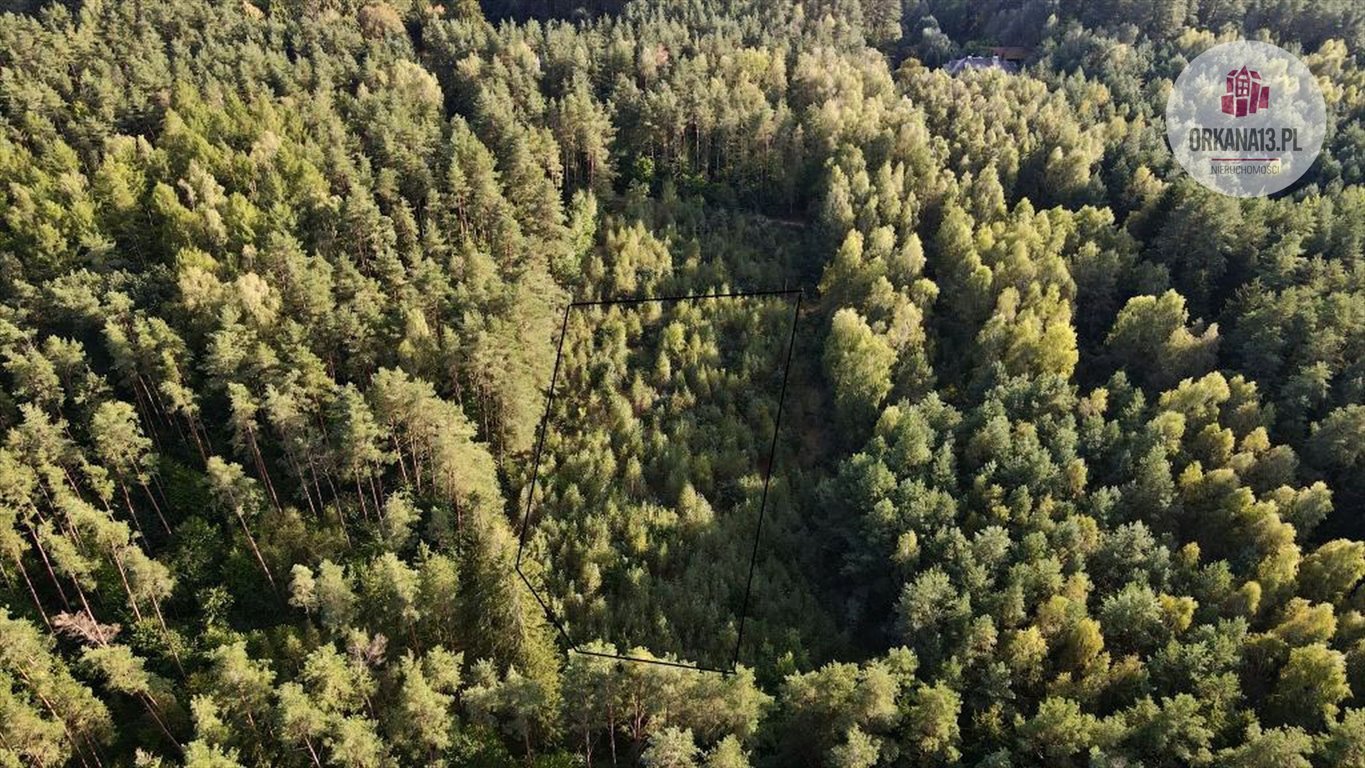 Działka rolna na sprzedaż Gutkowo, Gutkowo  3 673m2 Foto 12