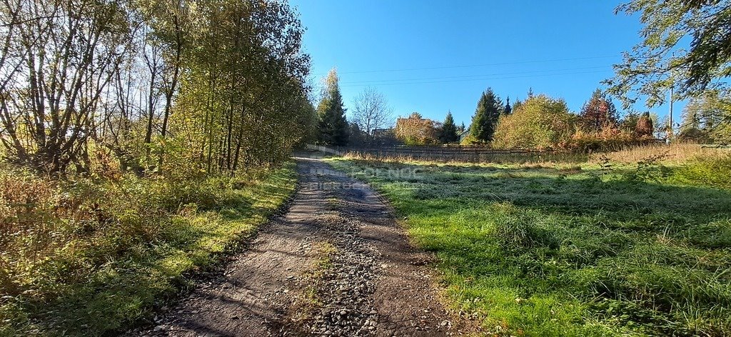 Działka budowlana na sprzedaż Cieszyn, Żniwna  972m2 Foto 3