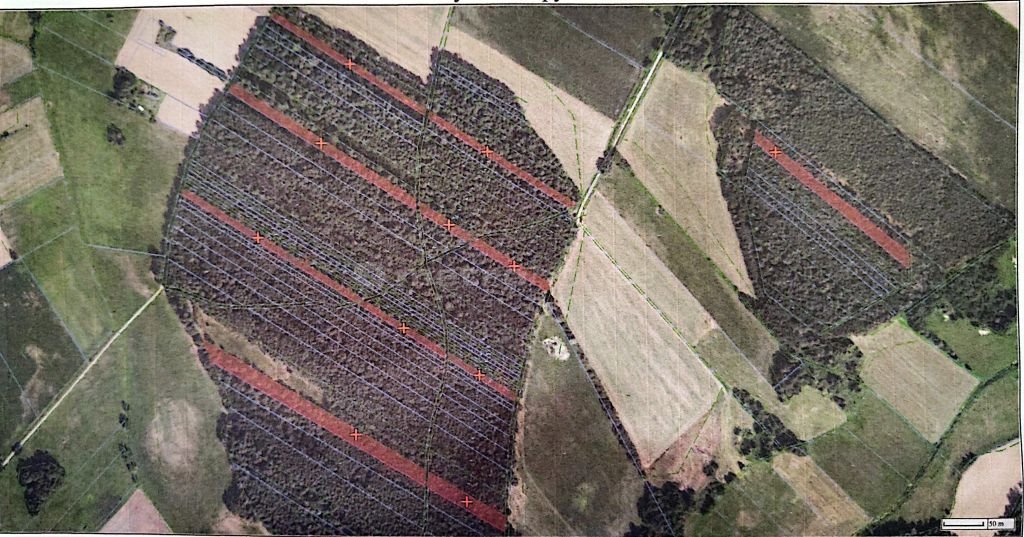 Działka 26 300 m² w Żmijewo-Ponki, las, spokój - polecam! Żmijewo-Ponki  26 300m2 Foto 1