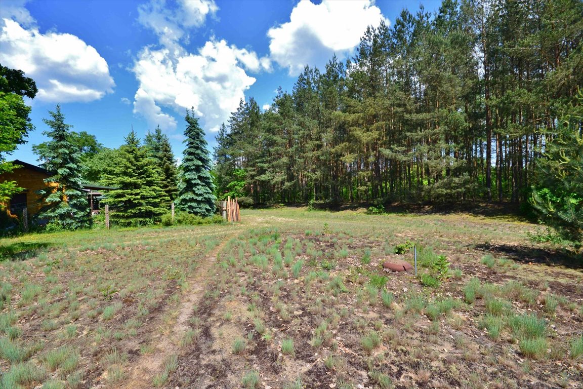 Działka rekreacyjna na sprzedaż Kijów 4 400m2 Foto 1 Działka rekreacyjna na sprzedaż Kijów 4 400m2 Foto 1